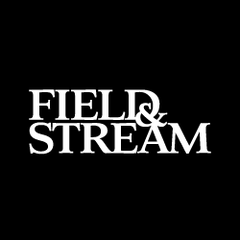 Logo for Field and Stream
